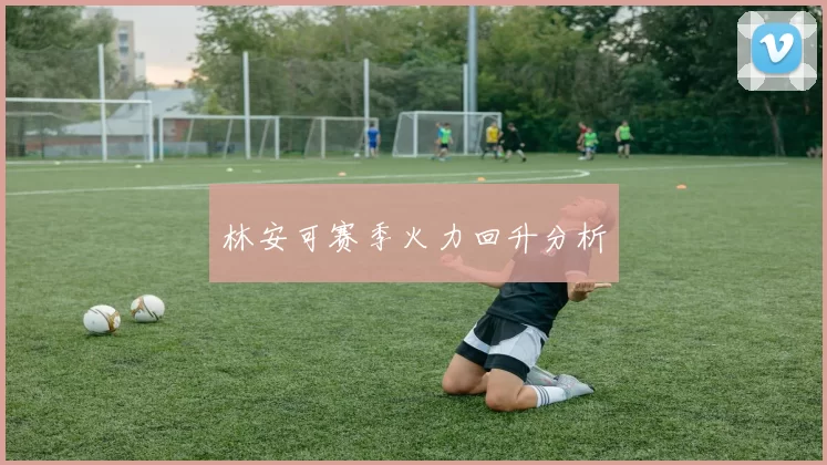 林安可赛季火力回升分析