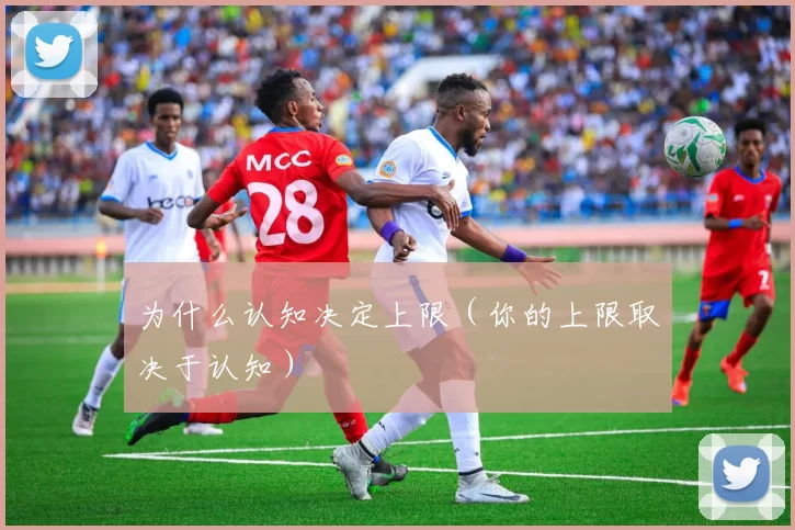 为什么认知决定上限（你的上限取决于认知）