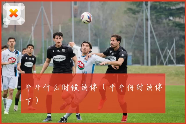 牛牛什么时候该停（牛牛何时该停下）