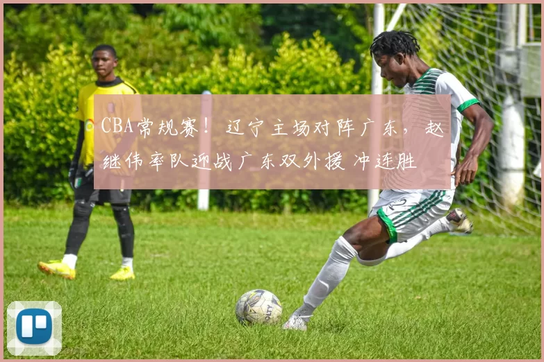 CBA常规赛！辽宁主场对阵广东，赵继伟率队迎战广东双外援 冲连胜