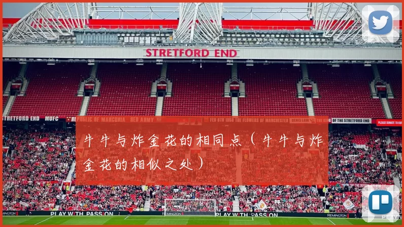 牛牛与炸金花的相同点（牛牛与炸金花的相似之处）