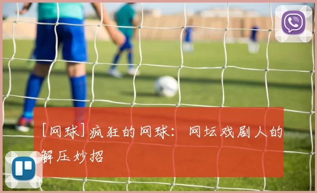 [网球]疯狂的网球：网坛戏剧人的解压妙招