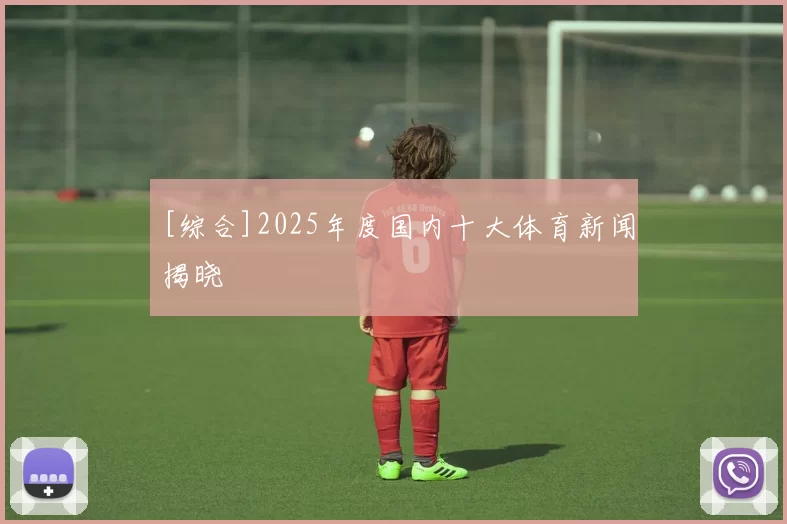 [综合]2025年度国内十大体育新闻揭晓