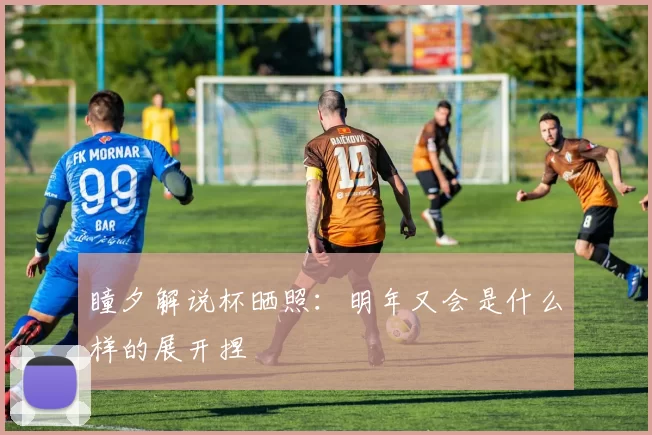 瞳夕解说杯晒照：明年又会是什么样的展开捏